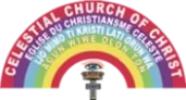 CCC Washington Luli Parish